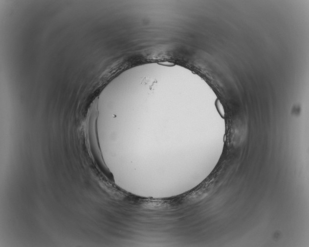 X0000096690521200802261543