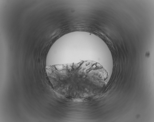 X0000096690523200802261543