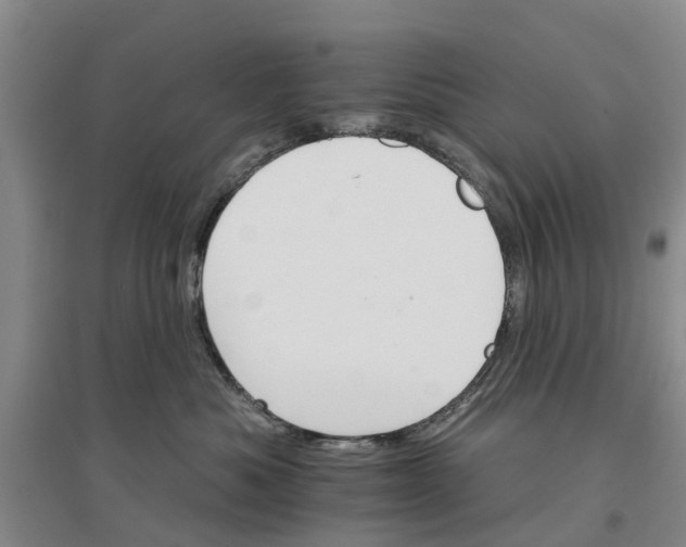 X0000096690525200802261543