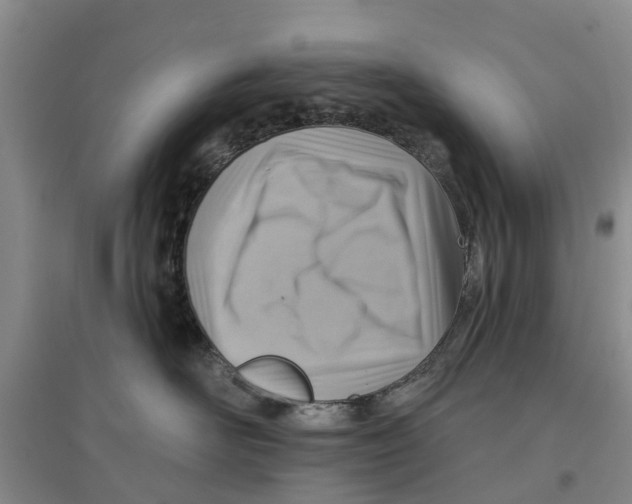 X0000096690526200802261543