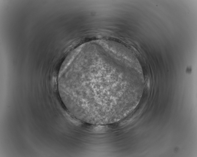 X0000096690527200802261543