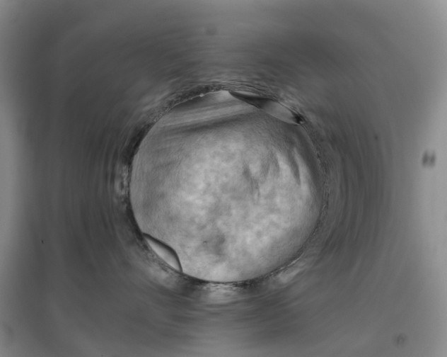 X0000096690528200802261543