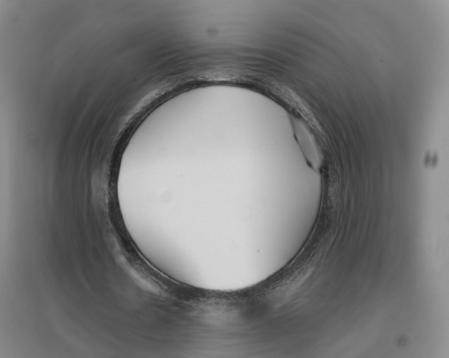 X0000096690530200802261543