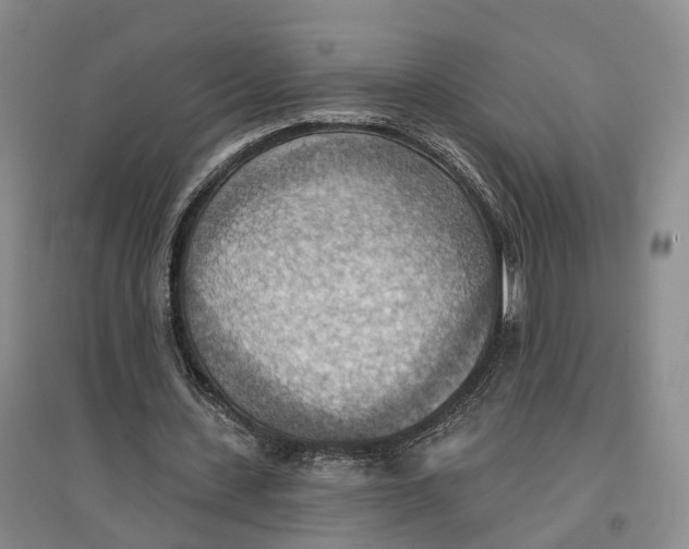 X0000096690531200802261543