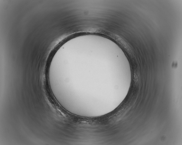 X0000096690532200802261543