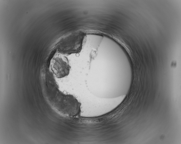 X0000096690533200802261543