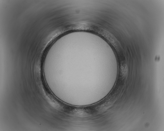 X0000096690534200802261543