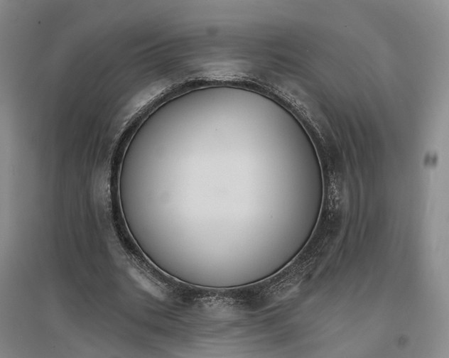 X0000096690535200802261543