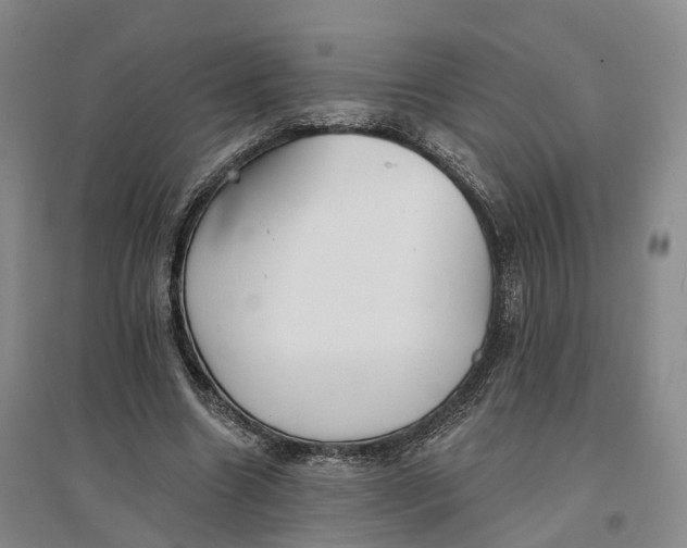 X0000096690538200802261543