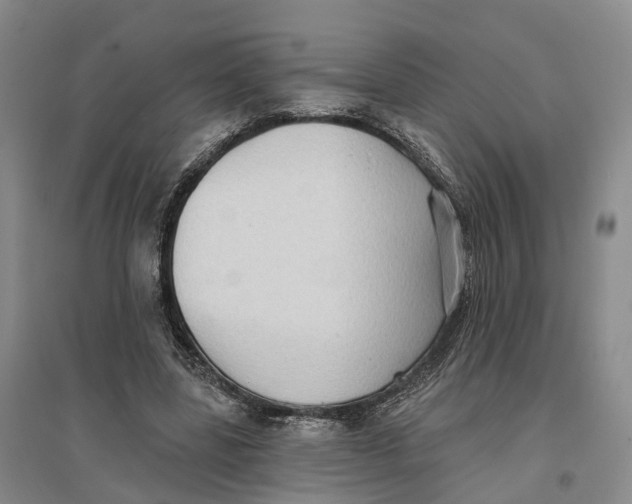 X0000096690539200802261543