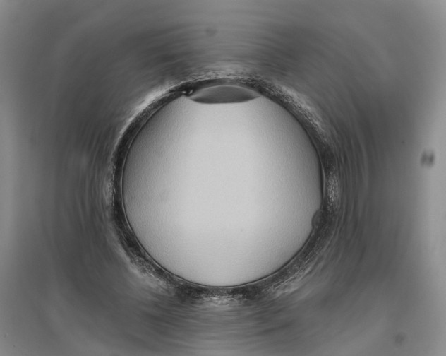 X0000096690540200802261543