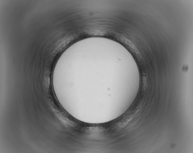 X0000096690541200802261543