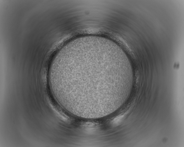 X0000096690542200802261543