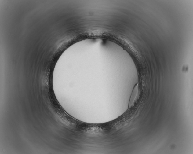 X0000096690543200802261543