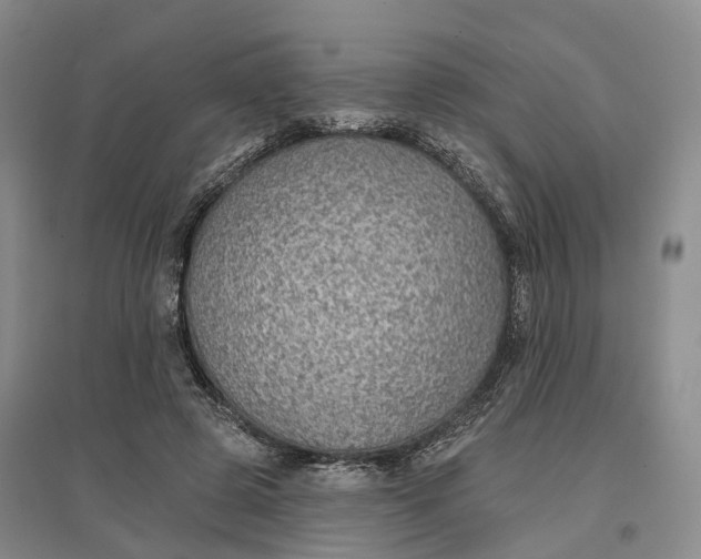 X0000096690545200802261543