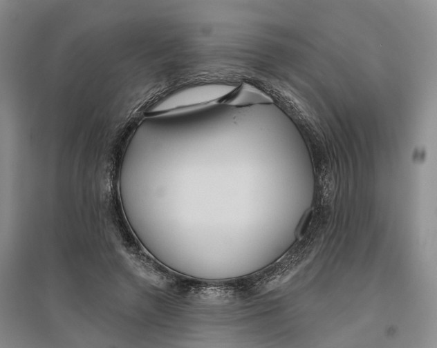 X0000096690546200802261543