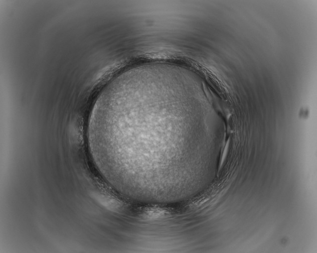 X0000096690547200802261543