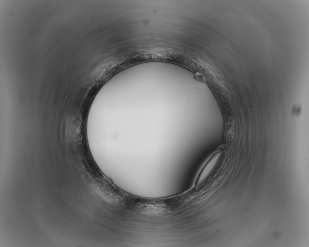 X0000096690548200802261543