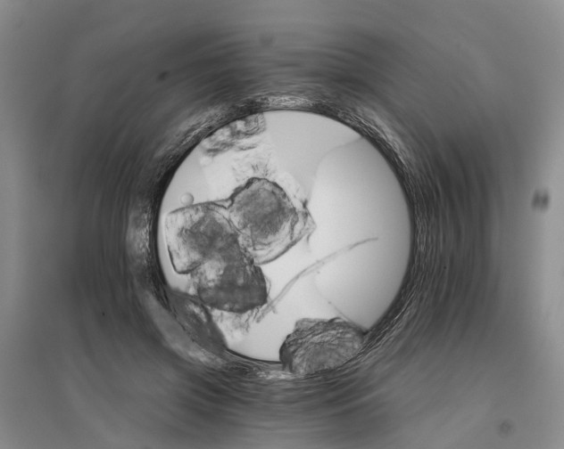 X0000096690549200802261543