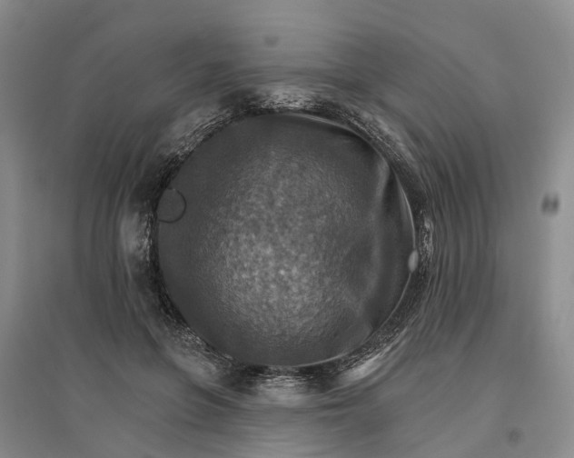 X0000096690551200802261543