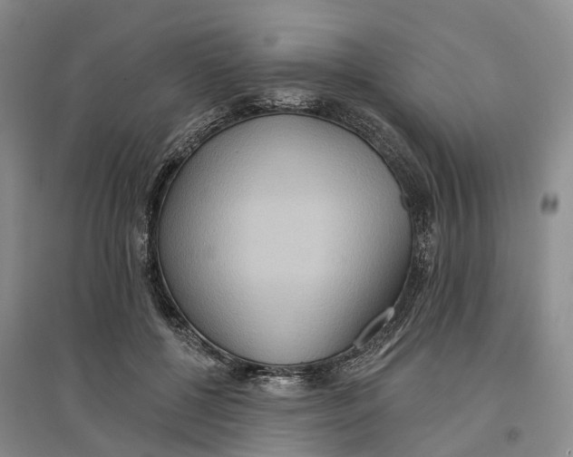 X0000096690552200802261543