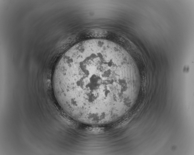 X0000096690553200802261543