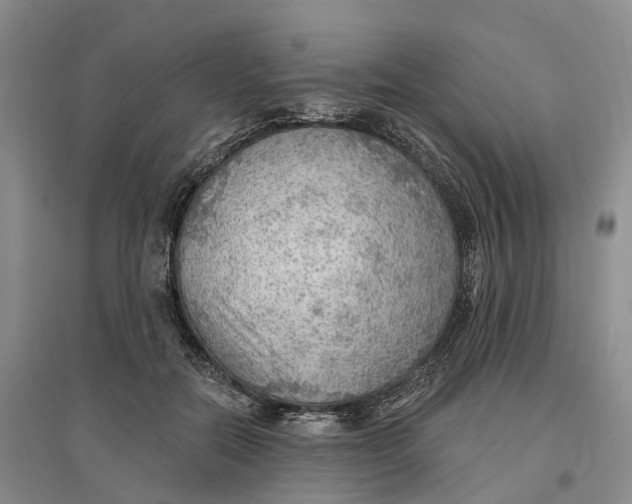 X0000096690554200802261543