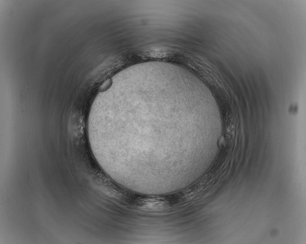 X0000096690555200802261543