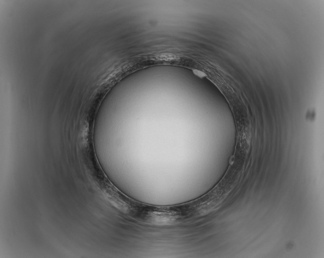 X0000096690556200802261543