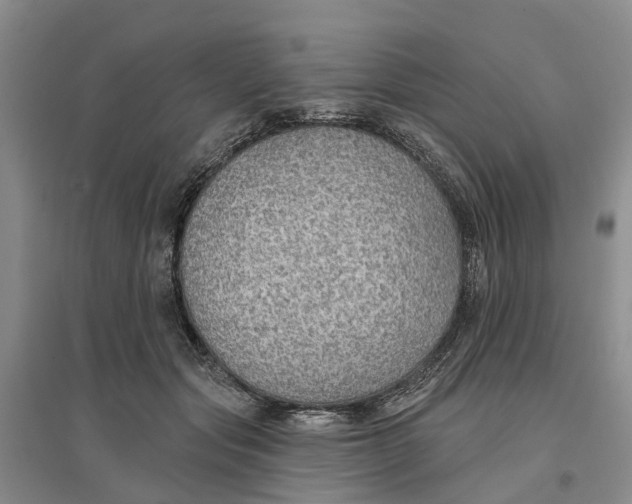 X0000096690557200802261543