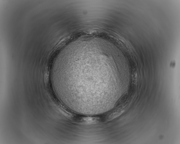 X0000096690558200802261543