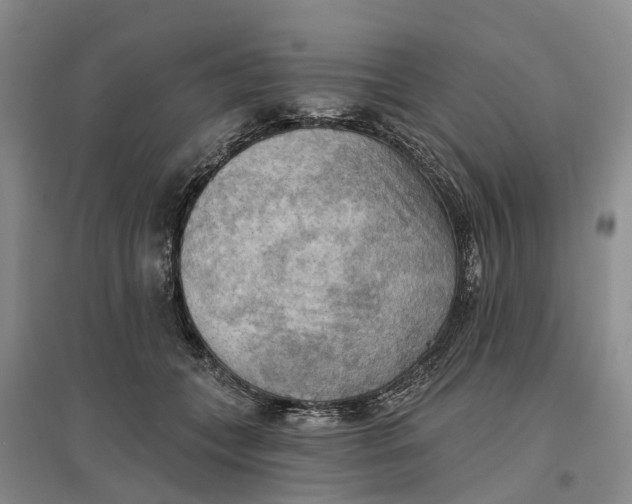 X0000096690559200802261543