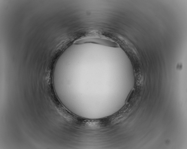 X0000096690560200802261543