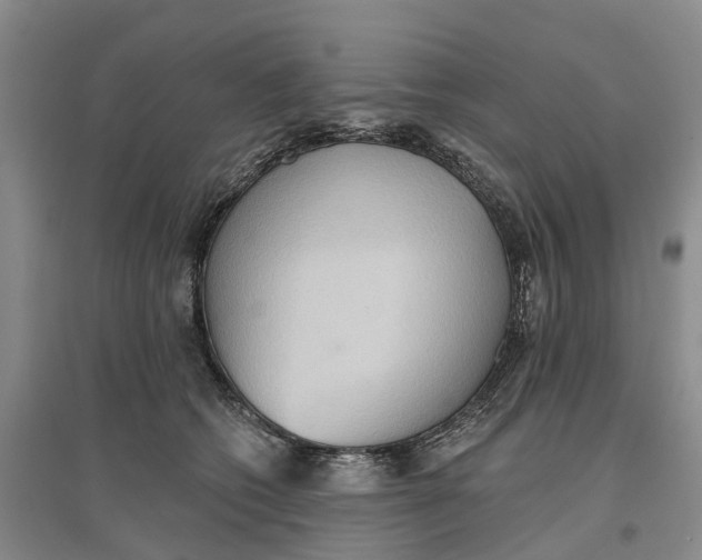 X0000096690562200802261543