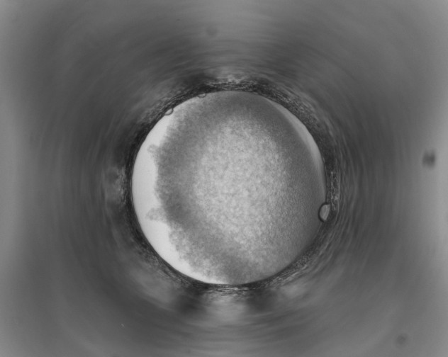 X0000096690563200802261543