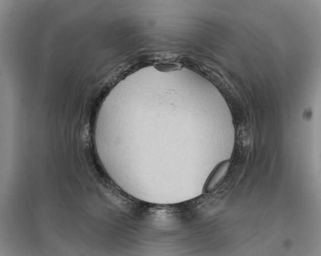 X0000096690564200802261543