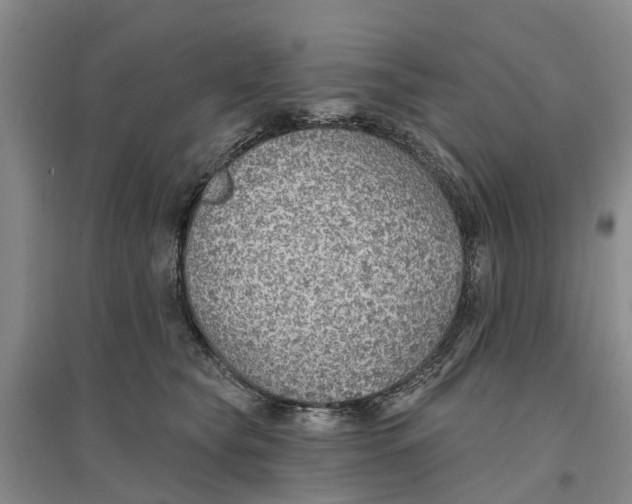 X0000096690565200802261543