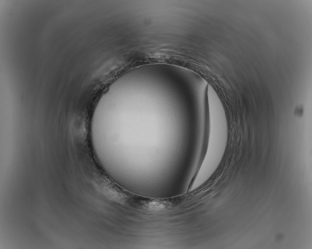 X0000096690566200802261543