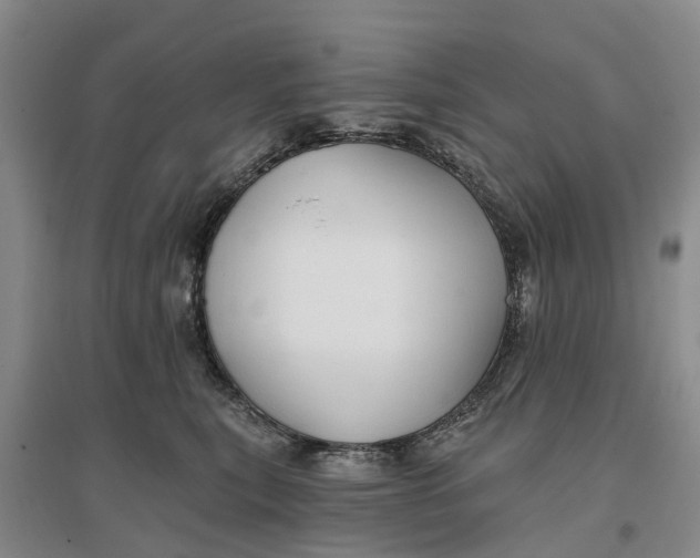 X0000096690567200802261543