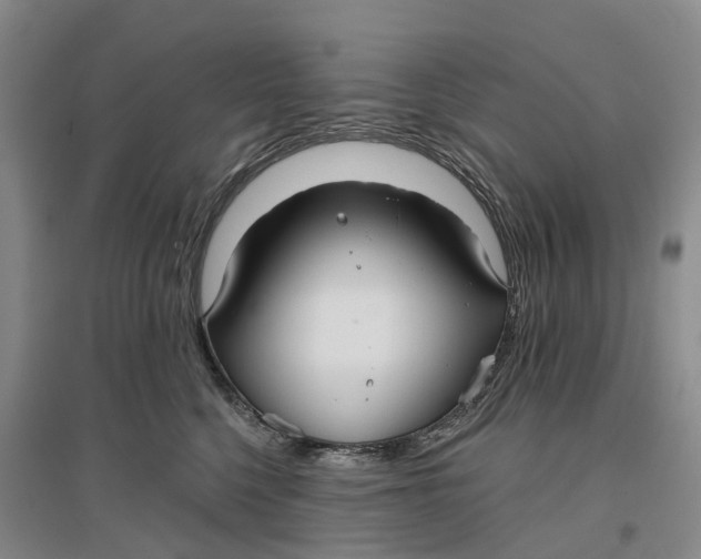 X0000096690568200802261543