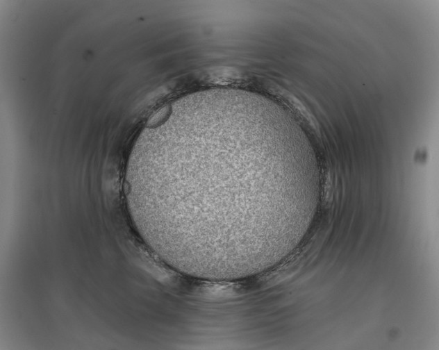 X0000096690569200802261543