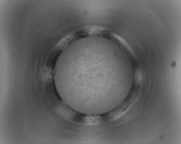 X0000096690571200802261543