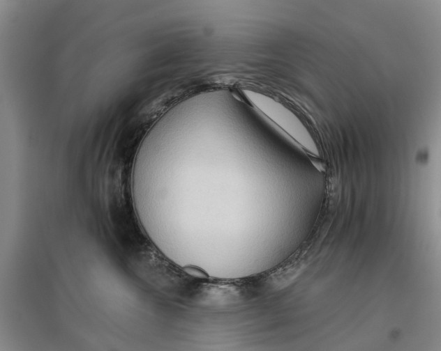 X0000096690572200802261543