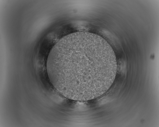 X0000096690573200802261543