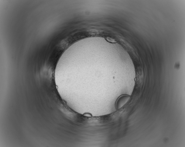 X0000096690574200802261543