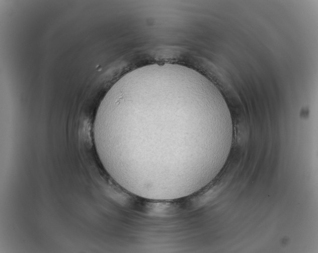 X0000096690575200802261543