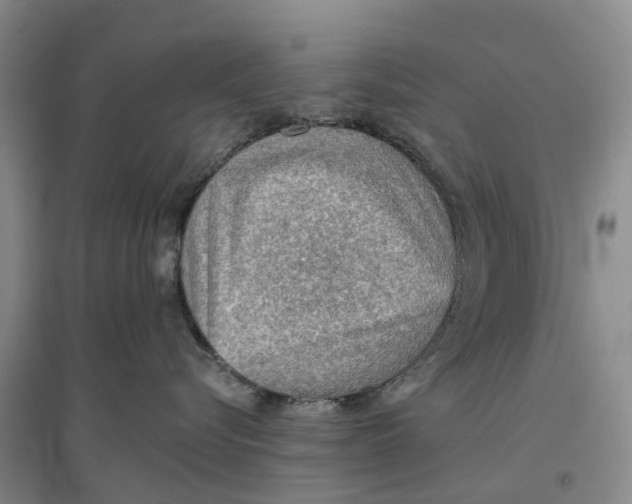 X0000096690576200802261543