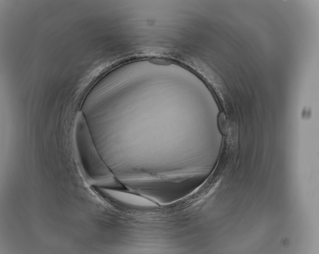 X0000096690577200802261543