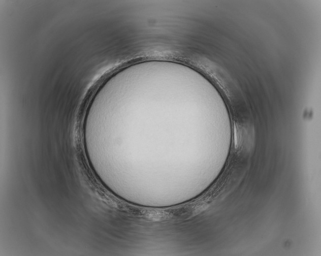 X0000096690579200802261543