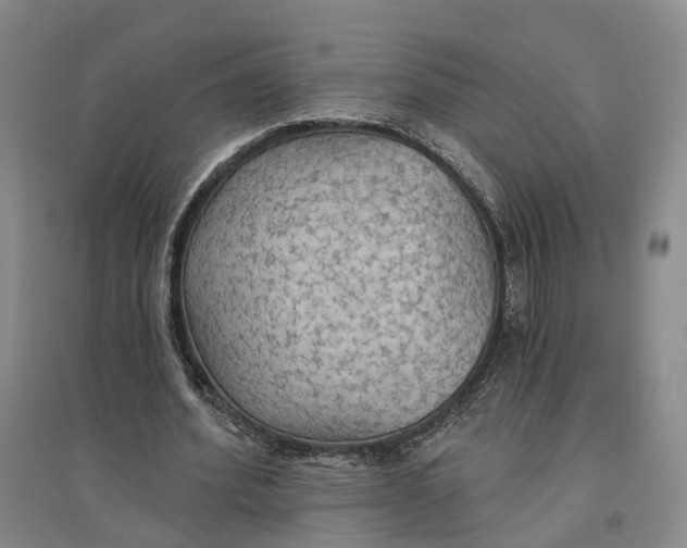 X0000096690580200802261543